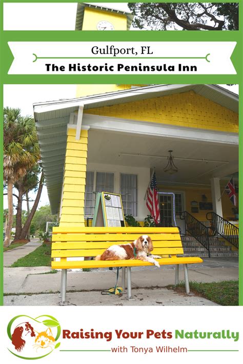 The hotel is pet friendly and there were a few dogs visiting over the weekend, it was nice seeing them and staff were very accommodating and would get to know them all by name. #10 best value of 96 pet friendly hotels in florida keys. Dog-Friendly Gulfport, Florida Hotels, Inns, and Bed and ...