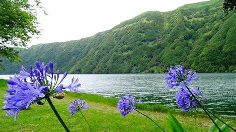 Lagoa das sete cidades (portuguese: Azores, Portugal - Lagoa das sete cidades | Tour around ...