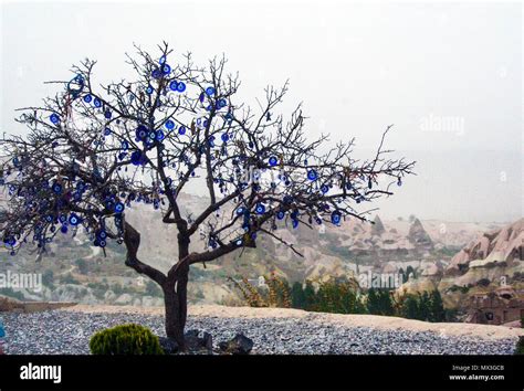 Tree Decorated With Evil Eyes In The Valley Of Uchisar In Cappadocia