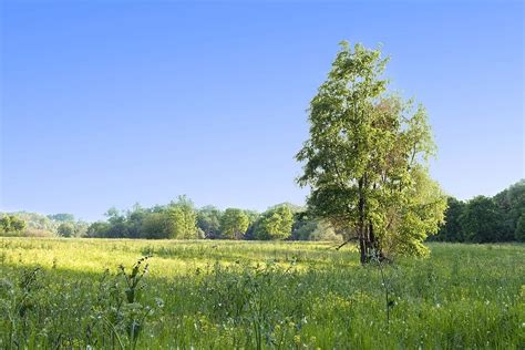 Free Download Con2011 Countryside Forest Land Landscape Nature