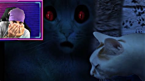 La TERRORÍFICA VIDA de un GATO - Tsugu No Hi / Neko (Horror Game) - YouTube