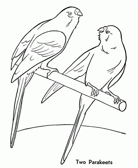 Domestic Animals Coloring Pages For Kids Coloring Home
