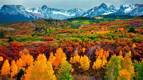 Download 1366x768 Wallpaper Autumn Season Trees Mountains Horizon