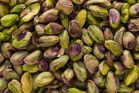 Pistachio Harvesting Erick Nielsen Enterprises Inc