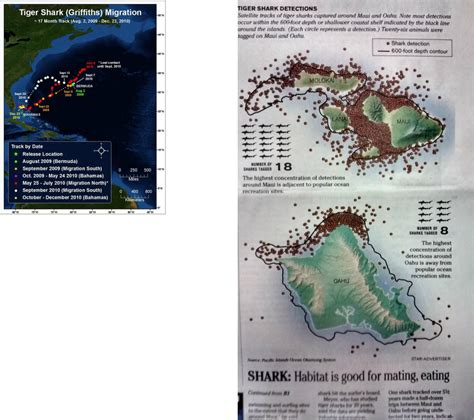 Migration Tracking Maps Tiger Sharks