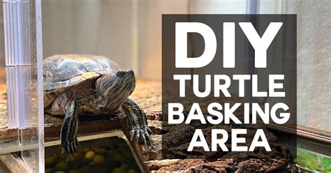 Diy Turtle Basking Area Dfw Craft Shows