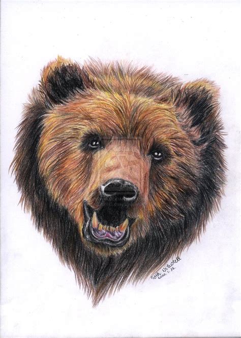 Grizzly Bear By Csimmbumm On Deviantart Animaux Féroces Croquis