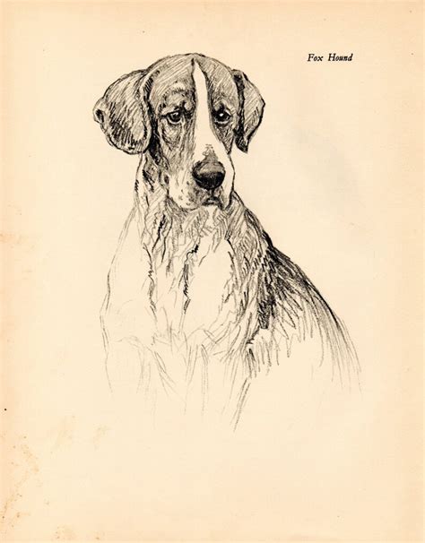 1938 Vintage Dog Print From A Book Of Sketches By Kf Barker Etsy