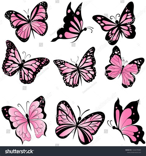 Set Beautiful Pink Butterflies Insect Vector Stock Vector Royalty Free