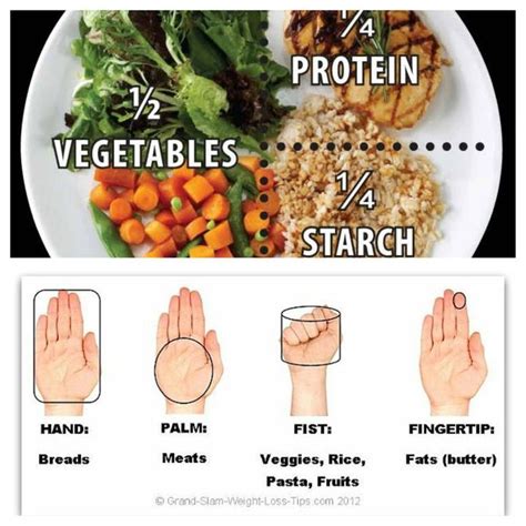 Food Serving Size Printable Portion Sizes Chart