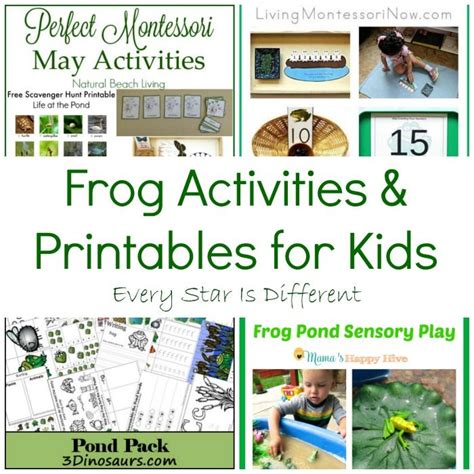Montessori Inspired Amphibian Activities With Free Printables