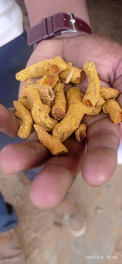 Holdi Alleppey Finger Haldi For Spices At Best Price In Coochbehar