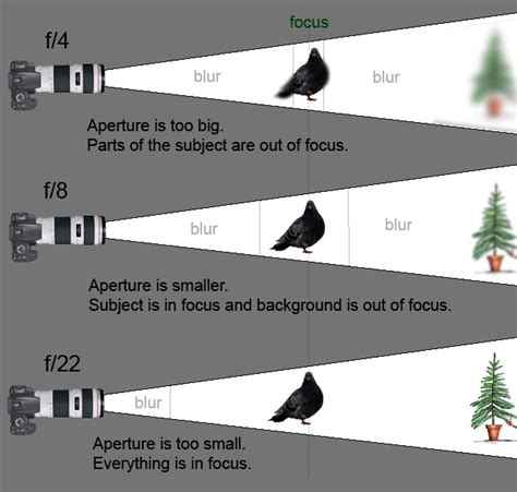 What Is Aperture Risphotograph