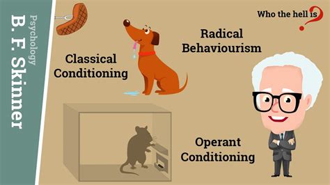 Operant Conditioning Vs Classical Conditioning In Bf Skinners