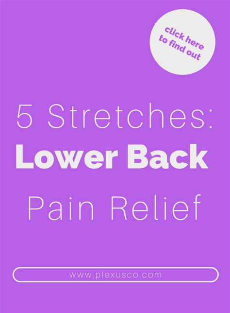 5 Lower Back Pain Stretches You Can Do At Home Chirp™