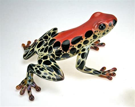 Poison Dart Frog Red Beautsai Flickr