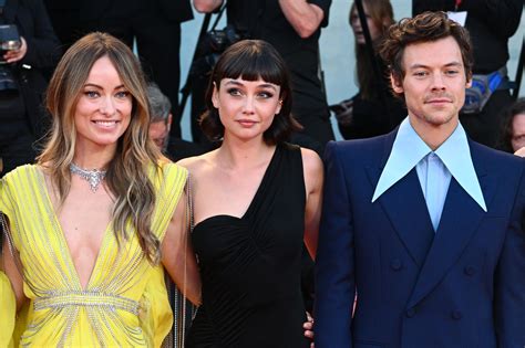 Why Did Harry Styles And Olivia Wilde Break Up