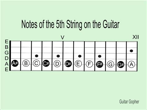 How To Learn The Notes Of The Guitar The Easy Way Spinditty