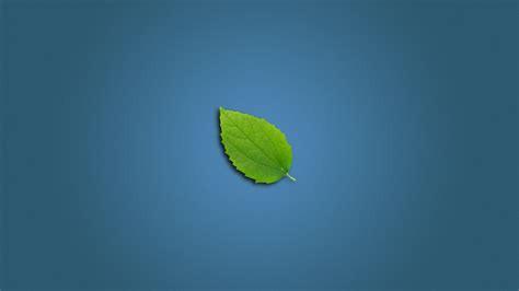 1920x1080 1920x1080 Blue Leaf Wall Green Background Leaf
