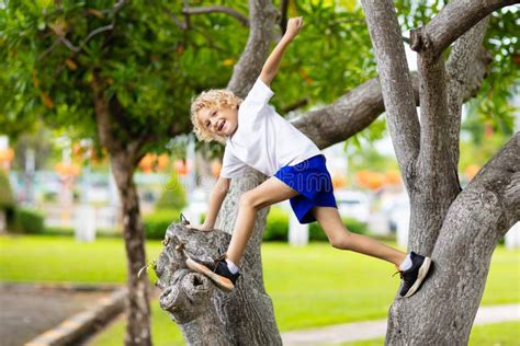 Kids Climb Tree In Summer Park Child Climbing Stock Photo Image Of