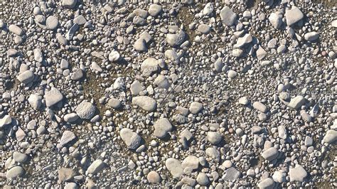Pebbles Stone Po River With Fossil Shells Texture Seamless 17318