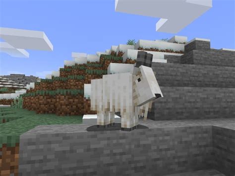 How Goats Behave In Minecraft Snapshot 21w13a Gamepur