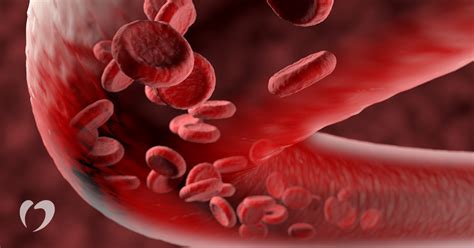 What Patients Need To Know About Blood Thinners Oklahoma Heart Hospital