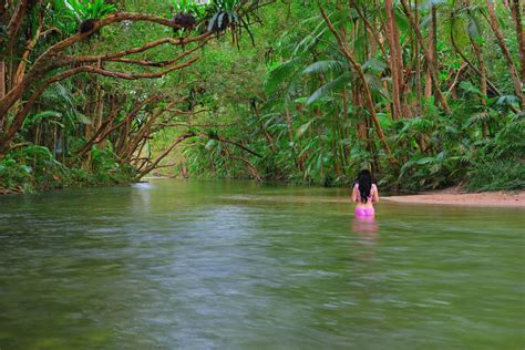 12 Must Do Activities In The Daintree Travel Photography