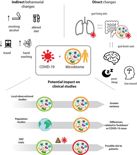 Frontiers The Unique Impact Of Covid 19 On Human Gut Microbiome Research
