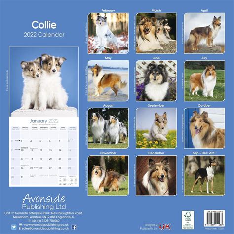 Collie Calendar Dog Breed Calendars Pet Prints Inc