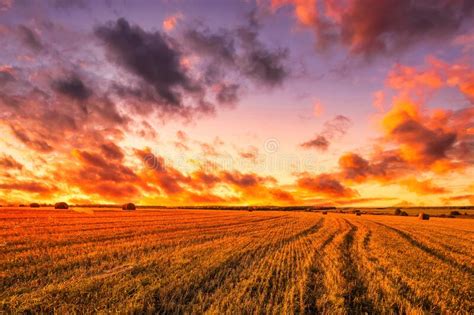 Sunset On The Field With Haystacks In Autumn Season Rural Landscape