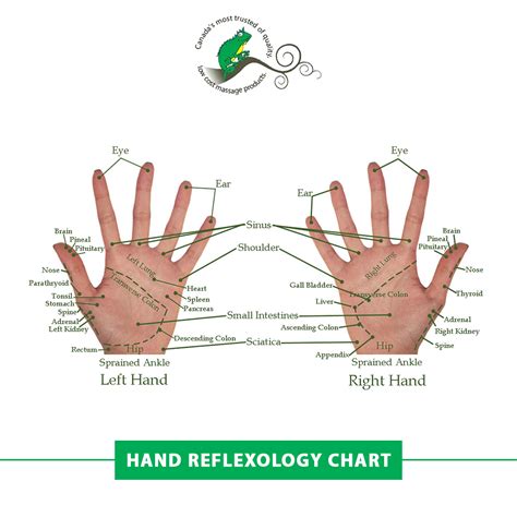 Hand Reflexology Chart For Therapists Reflexology Reflexologychart Geckomassage
