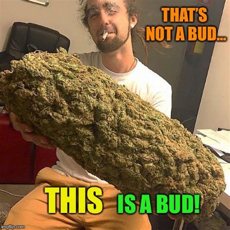 Funny Supreme Smoking Bud Memes And Cool Stoner S