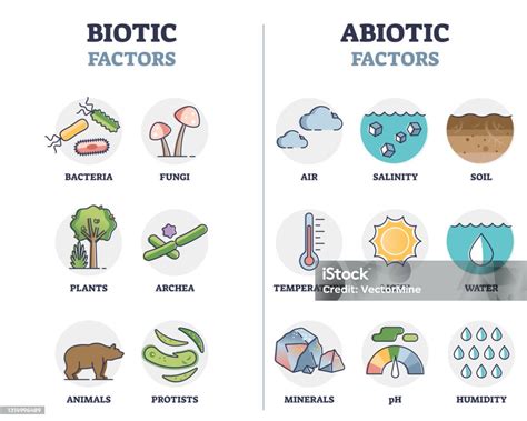 Ilustración De Factores Bióticos Y Abióticos Como Elementos Biológicos