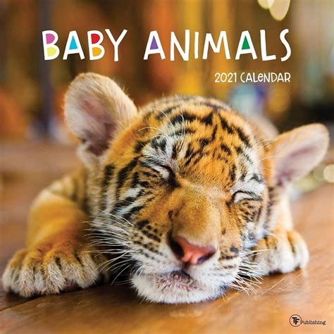 2021 Baby Animals 12x12 Wall Calendar