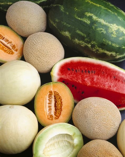 Agriculture Mixed Melons Watermelon Cantaloupe And Honeydew Poster