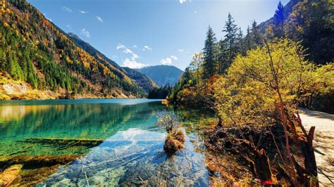 Jiuzhai Valley National Park Crek Asia Forest Jiuzhaigou Autumn