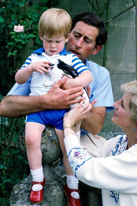 Erster roter teppich ihrer kinder. Prinz William + Prinz Harry: Die schönsten Kinder-Fotos ...