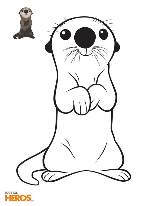 River Otter Colouring Sheet Barry Morrises Coloring Pages