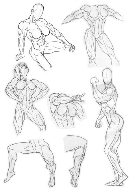 Anatomy Practice Legs And Torsos By Bambs Sketch Book Anatomy