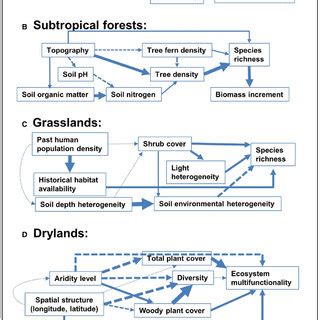 PDF Species Coexistence In A Changing World