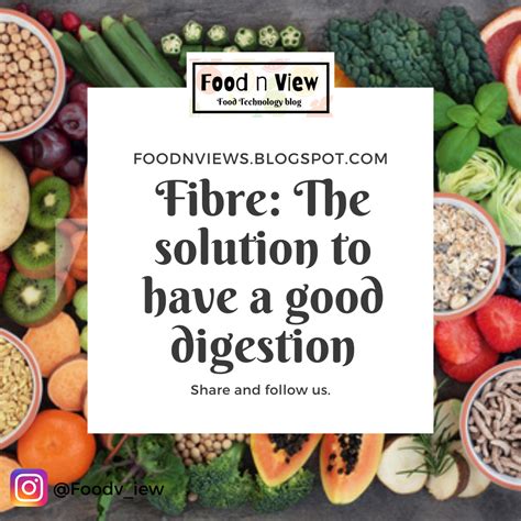 Fibre The Solution To Have A Good Digestion
