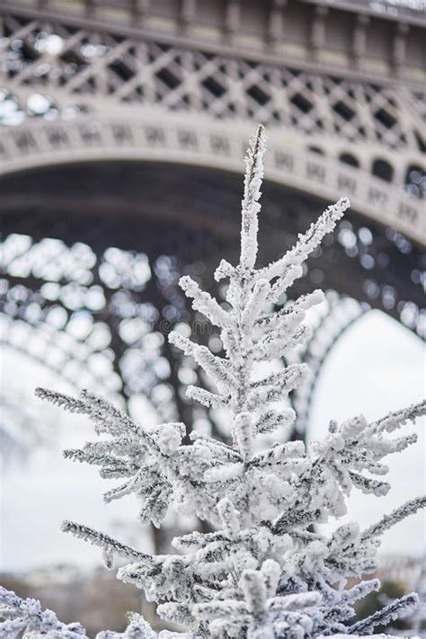 Christmas Tree Covered With Snow Near The Eiffel Tower Stock Image