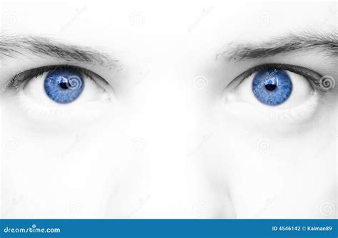 Big Blue Eyes Stock Photo Image Of Macro Eyebrows Deep 4546142