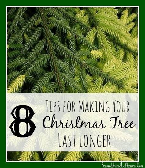 Easy instructions for keeping your fresh christmas tree looking fabulous, getting the most life out of it and how to make your christmas tree last longer. 8 Ways to Make Your Christmas Tree Last Longer - Tips for ...