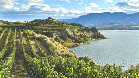 Penticton Area Vineyards And Okanagan Lake Okanagan Valley Okanagan