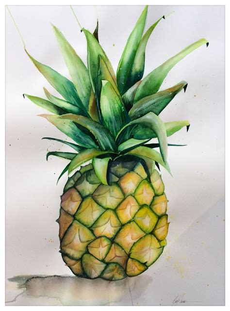 Pineapple Watercolour Watercolor Pineapple Watercolor Pineapple