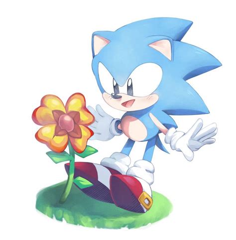 Pin By Adam West On Sonic The Hedgehog Y Mas Bv Hedgehog Art