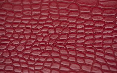 Desktop Wallpapers Texture Leather Red 1920x1200