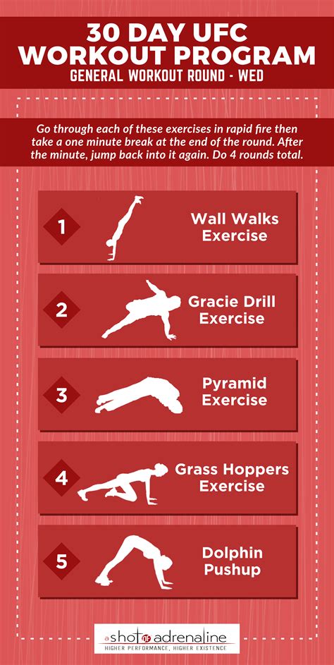 The 30 Day UFC Workout Program